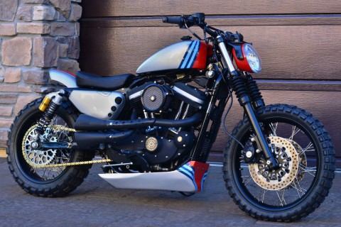 2006 Harley-Davidson Sportster XL883R for sale